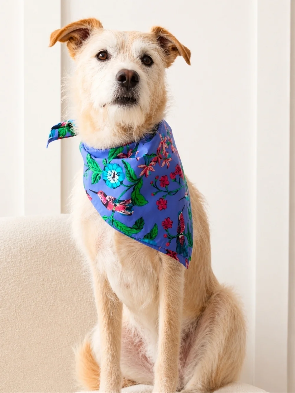 Printfresh Hummingbird Haven - Pet Bandana - Crocus Medium
